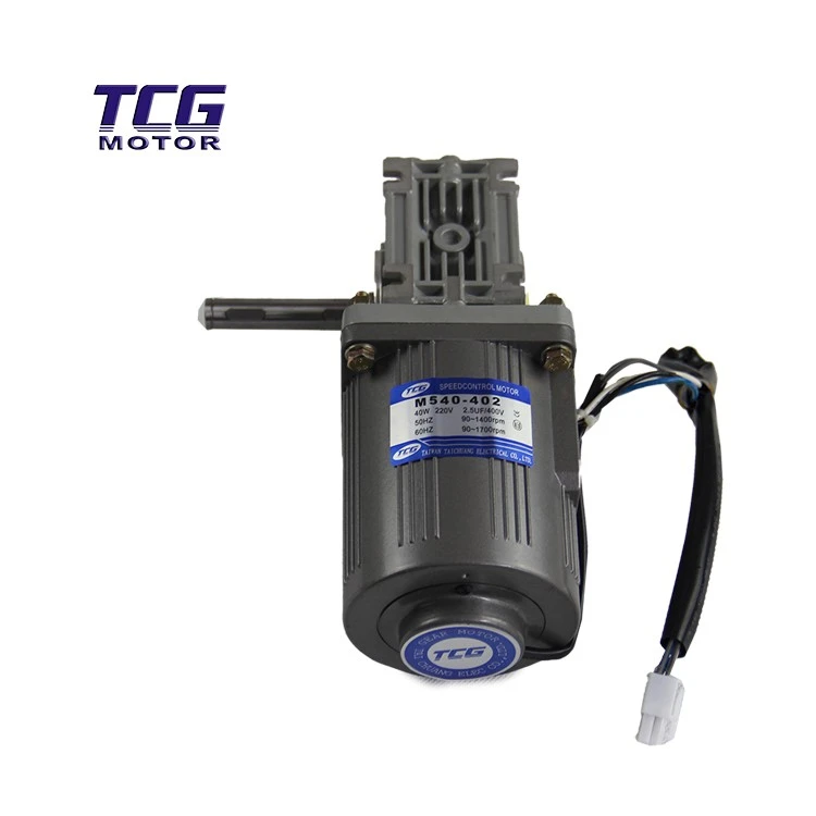 speed adjustable asynchronous motor